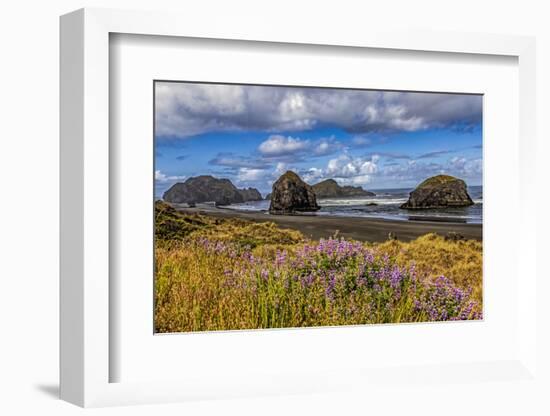 USA, Oregon, Cape Sebastian-Joe Restuccia III-Framed Photographic Print