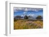 USA, Oregon, Cape Sebastian-Joe Restuccia III-Framed Photographic Print