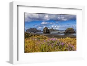 USA, Oregon, Cape Sebastian-Joe Restuccia III-Framed Photographic Print