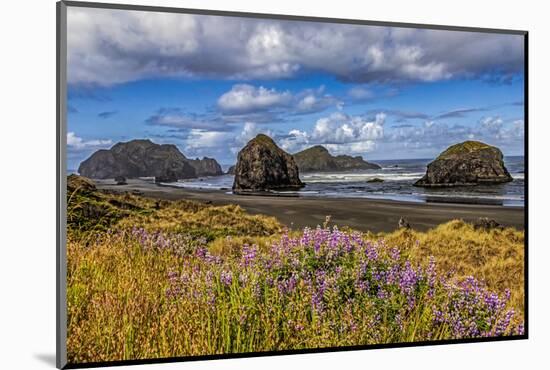 USA, Oregon, Cape Sebastian-Joe Restuccia III-Mounted Photographic Print