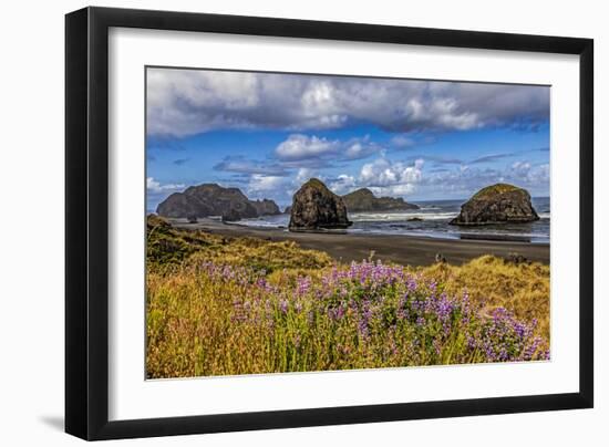 USA, Oregon, Cape Sebastian-Joe Restuccia III-Framed Photographic Print