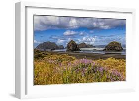 USA, Oregon, Cape Sebastian-Joe Restuccia III-Framed Photographic Print