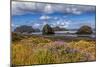 USA, Oregon, Cape Sebastian-Joe Restuccia III-Mounted Photographic Print