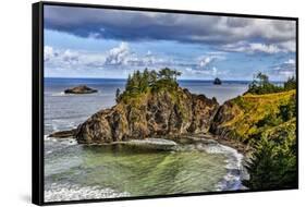 USA, Oregon, Cape Sebastian-Joe Restuccia III-Framed Stretched Canvas