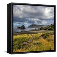 USA, Oregon, Cape Sebastian-Joe Restuccia III-Framed Stretched Canvas