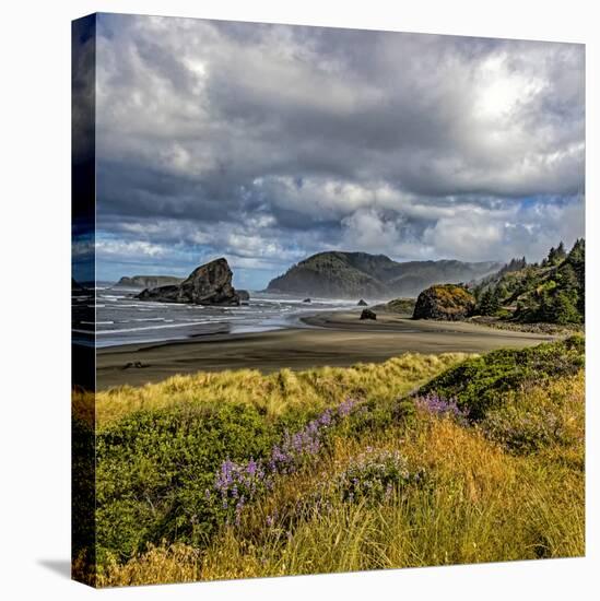 USA, Oregon, Cape Sebastian-Joe Restuccia III-Stretched Canvas