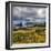 USA, Oregon, Cape Sebastian-Joe Restuccia III-Framed Photographic Print