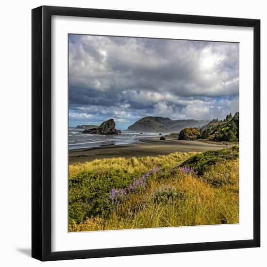 USA, Oregon, Cape Sebastian-Joe Restuccia III-Framed Photographic Print