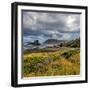 USA, Oregon, Cape Sebastian-Joe Restuccia III-Framed Photographic Print