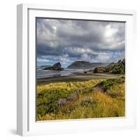 USA, Oregon, Cape Sebastian-Joe Restuccia III-Framed Photographic Print