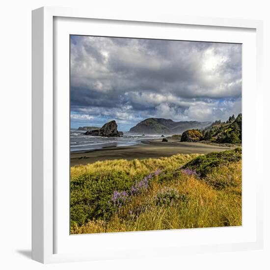 USA, Oregon, Cape Sebastian-Joe Restuccia III-Framed Photographic Print