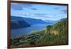 USA, Oregon, Chanticleer Point, Vista House and the Columbia Gorge.-Rick A^ Brown-Framed Photographic Print