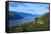 USA, Oregon, Chanticleer Point, Vista House and the Columbia Gorge.-Rick A^ Brown-Framed Stretched Canvas