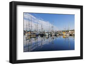 USA, Oregon, Charleston-Joe Restuccia III-Framed Photographic Print