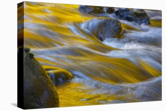 Usa. Oregon, Columbia Gorge. Fall Color Refect on Eagle Creek-Gary Luhm-Stretched Canvas