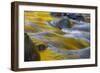 Usa. Oregon, Columbia Gorge. Fall Color Refect on Eagle Creek-Gary Luhm-Framed Photographic Print