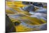 Usa. Oregon, Columbia Gorge. Fall Color Refect on Eagle Creek-Gary Luhm-Mounted Photographic Print