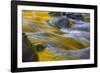 Usa. Oregon, Columbia Gorge. Fall Color Refect on Eagle Creek-Gary Luhm-Framed Photographic Print