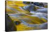 Usa. Oregon, Columbia Gorge. Fall Color Refect on Eagle Creek-Gary Luhm-Stretched Canvas