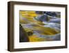 Usa. Oregon, Columbia Gorge. Fall Color Refect on Eagle Creek-Gary Luhm-Framed Photographic Print