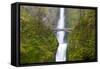 USA, Oregon, Columbia Gorge, Multnomah Falls Cascades from High Above-Terry Eggers-Framed Stretched Canvas