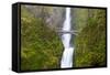 USA, Oregon, Columbia Gorge, Multnomah Falls Cascades from High Above-Terry Eggers-Framed Stretched Canvas