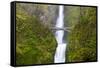 USA, Oregon, Columbia Gorge, Multnomah Falls Cascades from High Above-Terry Eggers-Framed Stretched Canvas