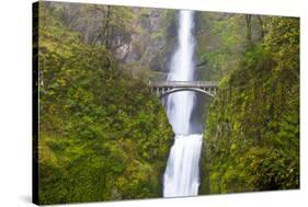 USA, Oregon, Columbia Gorge, Multnomah Falls Cascades from High Above-Terry Eggers-Stretched Canvas