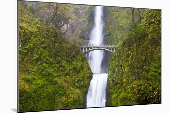 USA, Oregon, Columbia Gorge, Multnomah Falls Cascades from High Above-Terry Eggers-Mounted Photographic Print