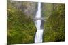 USA, Oregon, Columbia Gorge, Multnomah Falls Cascades from High Above-Terry Eggers-Mounted Photographic Print