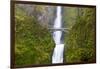 USA, Oregon, Columbia Gorge, Multnomah Falls Cascades from High Above-Terry Eggers-Framed Photographic Print