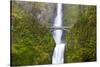 USA, Oregon, Columbia Gorge, Multnomah Falls Cascades from High Above-Terry Eggers-Stretched Canvas