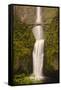 USA, Oregon, Columbia Gorge, Multnomah Falls-Terry Eggers-Framed Stretched Canvas