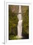 USA, Oregon, Columbia Gorge, Multnomah Falls-Terry Eggers-Framed Photographic Print