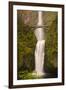 USA, Oregon, Columbia Gorge, Multnomah Falls-Terry Eggers-Framed Photographic Print