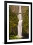 USA, Oregon, Columbia Gorge, Multnomah Falls-Terry Eggers-Framed Photographic Print