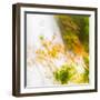 USA, Oregon, Columbia River Gorge area. Fall Color Abstractions.-Brent Bergherm-Framed Photographic Print