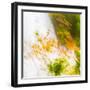 USA, Oregon, Columbia River Gorge area. Fall Color Abstractions.-Brent Bergherm-Framed Premium Photographic Print