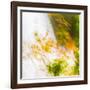 USA, Oregon, Columbia River Gorge area. Fall Color Abstractions.-Brent Bergherm-Framed Photographic Print