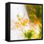 USA, Oregon, Columbia River Gorge area. Fall Color Abstractions.-Brent Bergherm-Framed Stretched Canvas