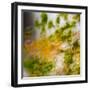 USA, Oregon, Columbia River Gorge area. Fall Color Abstractions.-Brent Bergherm-Framed Photographic Print