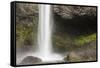 USA, Oregon, Columbia River Gorge area. Latourell Falls.-Brent Bergherm-Framed Stretched Canvas