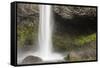 USA, Oregon, Columbia River Gorge area. Latourell Falls.-Brent Bergherm-Framed Stretched Canvas