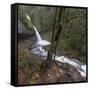 USA, Oregon, Columbia River Gorge area, ponytail falls.-Brent Bergherm-Framed Stretched Canvas