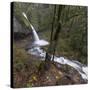 USA, Oregon, Columbia River Gorge area, ponytail falls.-Brent Bergherm-Stretched Canvas