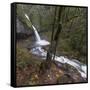 USA, Oregon, Columbia River Gorge area, ponytail falls.-Brent Bergherm-Framed Stretched Canvas