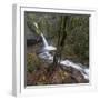 USA, Oregon, Columbia River Gorge area, ponytail falls.-Brent Bergherm-Framed Photographic Print