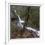 USA, Oregon, Columbia River Gorge area, ponytail falls.-Brent Bergherm-Framed Photographic Print