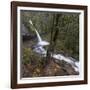 USA, Oregon, Columbia River Gorge area, ponytail falls.-Brent Bergherm-Framed Photographic Print