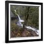 USA, Oregon, Columbia River Gorge area, ponytail falls.-Brent Bergherm-Framed Photographic Print